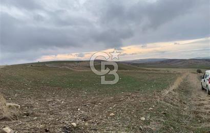 ACİL Gölbaşı Boyalık Akpınar’da Tek Tapu 7.309 m2 Tarla