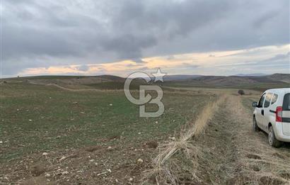 ACİL Gölbaşı Boyalık Akpınar’da Tek Tapu 7.309 m2 Tarla