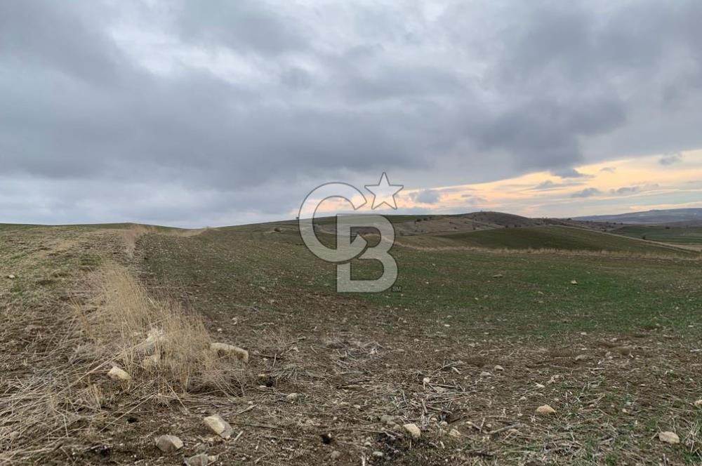 ACİL Gölbaşı Boyalık Akpınar’da Tek Tapu 7.309 m2 Tarla