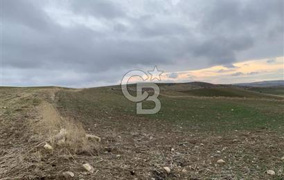 ACİL Gölbaşı Boyalık Akpınar’da Tek Tapu 7.309 m2 Tarla