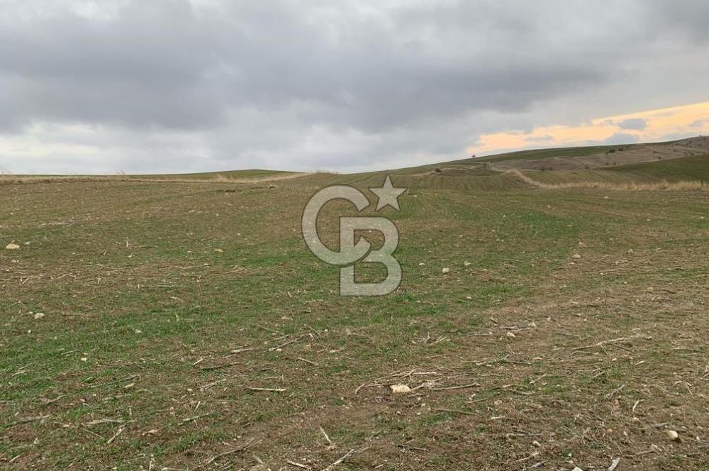 ACİL Gölbaşı Boyalık Akpınar’da Tek Tapu 7.309 m2 Tarla