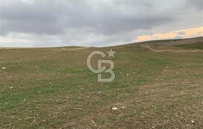 ACİL Gölbaşı Boyalık Akpınar’da Tek Tapu 7.309 m2 Tarla