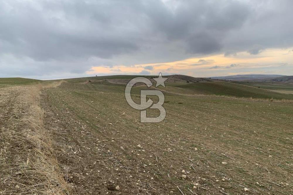ACİL Gölbaşı Boyalık Akpınar’da Tek Tapu 7.309 m2 Tarla