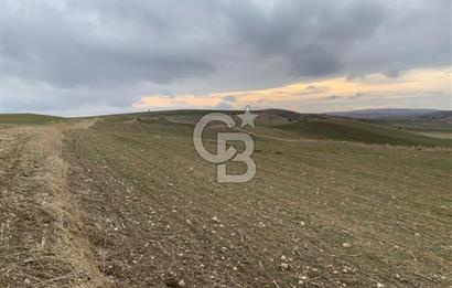 ACİL Gölbaşı Boyalık Akpınar’da Tek Tapu 7.309 m2 Tarla