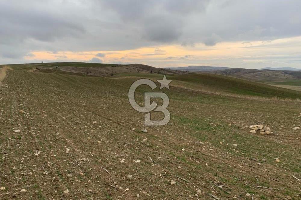 ACİL Gölbaşı Boyalık Akpınar’da Tek Tapu 7.309 m2 Tarla