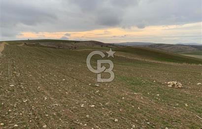 ACİL Gölbaşı Boyalık Akpınar’da Tek Tapu 7.309 m2 Tarla