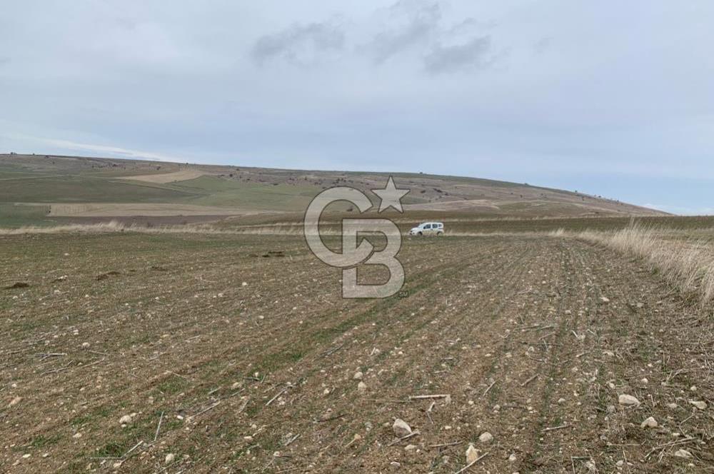 ACİL Gölbaşı Boyalık Akpınar’da Tek Tapu 7.309 m2 Tarla