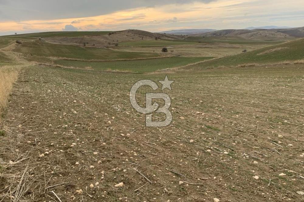 ACİL Gölbaşı Boyalık Akpınar’da Tek Tapu 7.309 m2 Tarla