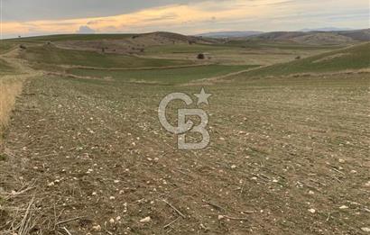 ACİL Gölbaşı Boyalık Akpınar’da Tek Tapu 7.309 m2 Tarla