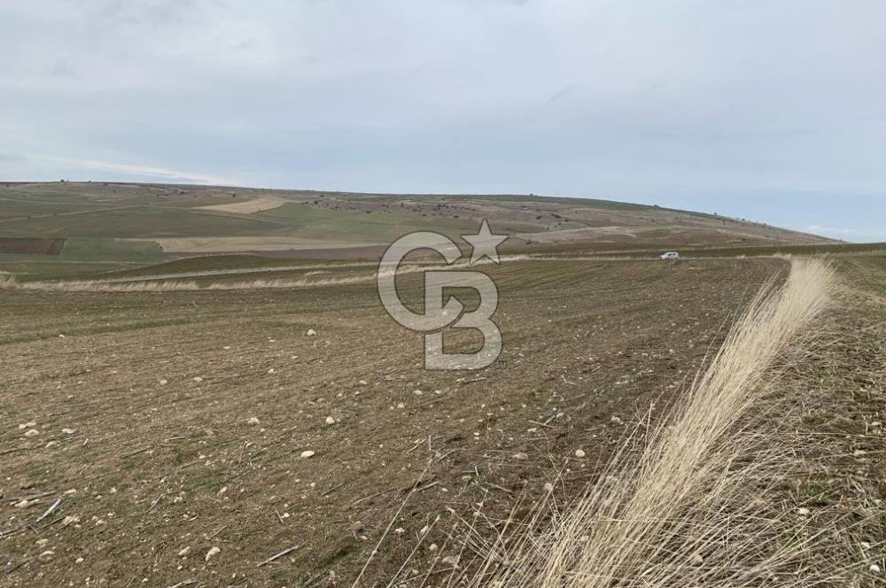 ACİL Gölbaşı Boyalık Akpınar’da Tek Tapu 7.309 m2 Tarla