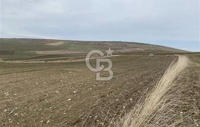 ACİL Gölbaşı Boyalık Akpınar’da Tek Tapu 7.309 m2 Tarla
