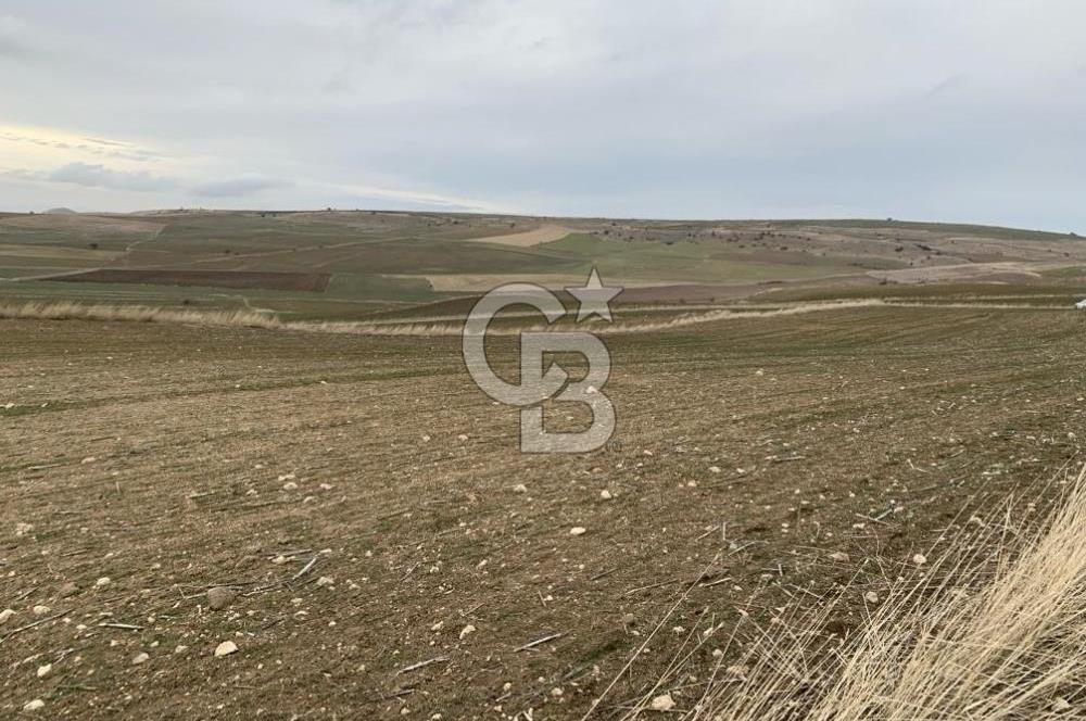 ACİL Gölbaşı Boyalık Akpınar’da Tek Tapu 7.309 m2 Tarla