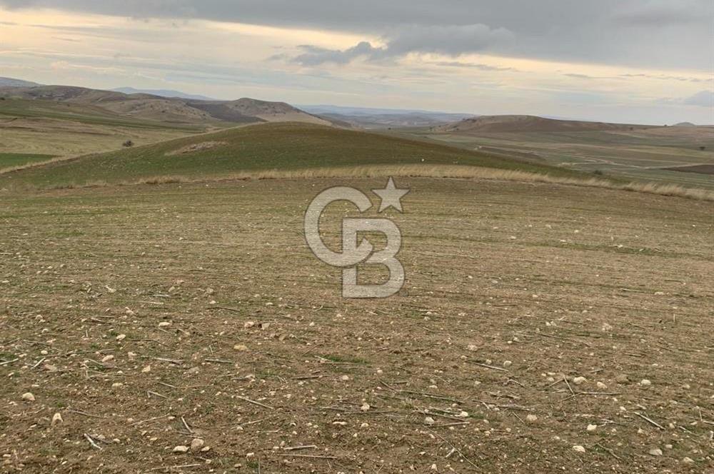 ACİL Gölbaşı Boyalık Akpınar’da Tek Tapu 7.309 m2 Tarla