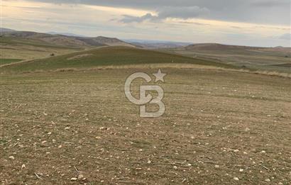 ACİL Gölbaşı Boyalık Akpınar’da Tek Tapu 7.309 m2 Tarla