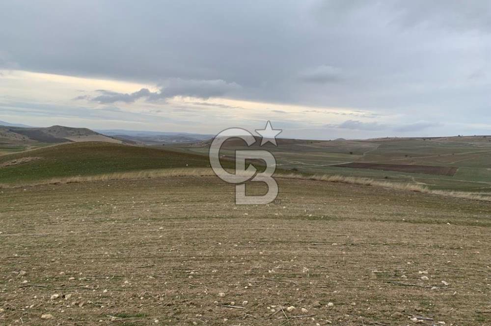 ACİL Gölbaşı Boyalık Akpınar’da Tek Tapu 7.309 m2 Tarla
