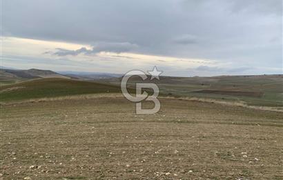 ACİL Gölbaşı Boyalık Akpınar’da Tek Tapu 7.309 m2 Tarla
