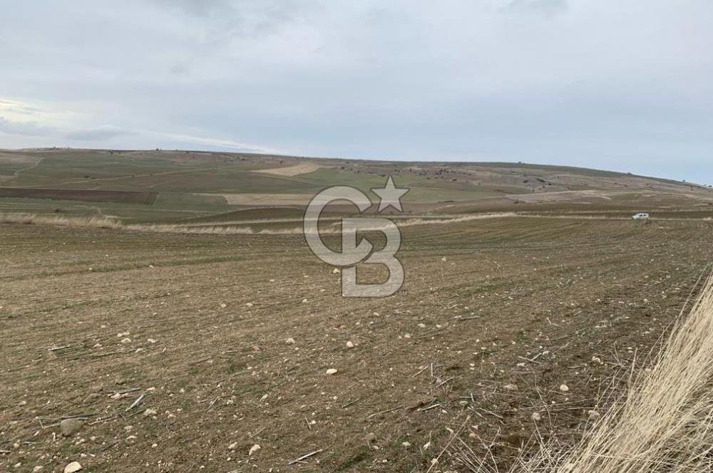 ACİL Gölbaşı Boyalık Akpınar’da Tek Tapu 7.309 m2 Tarla