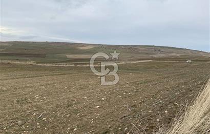 ACİL Gölbaşı Boyalık Akpınar’da Tek Tapu 7.309 m2 Tarla