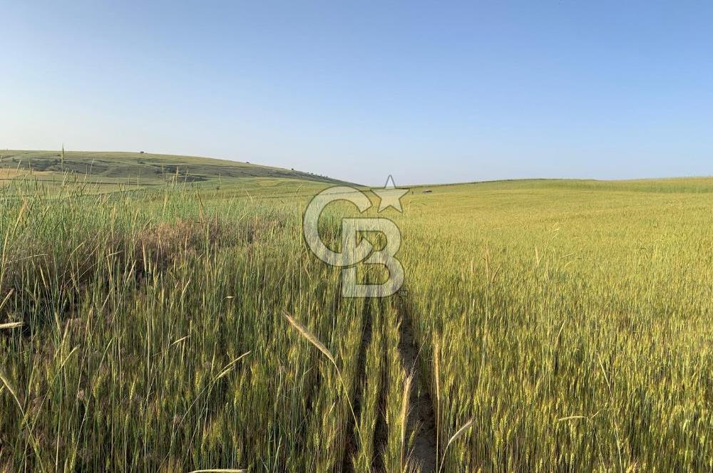 ACİL Gölbaşı Boyalık Akpınar’da Tek Tapu 7.309 m2 Tarla
