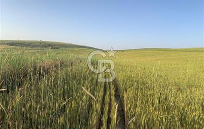 ACİL Gölbaşı Boyalık Akpınar’da Tek Tapu 7.309 m2 Tarla