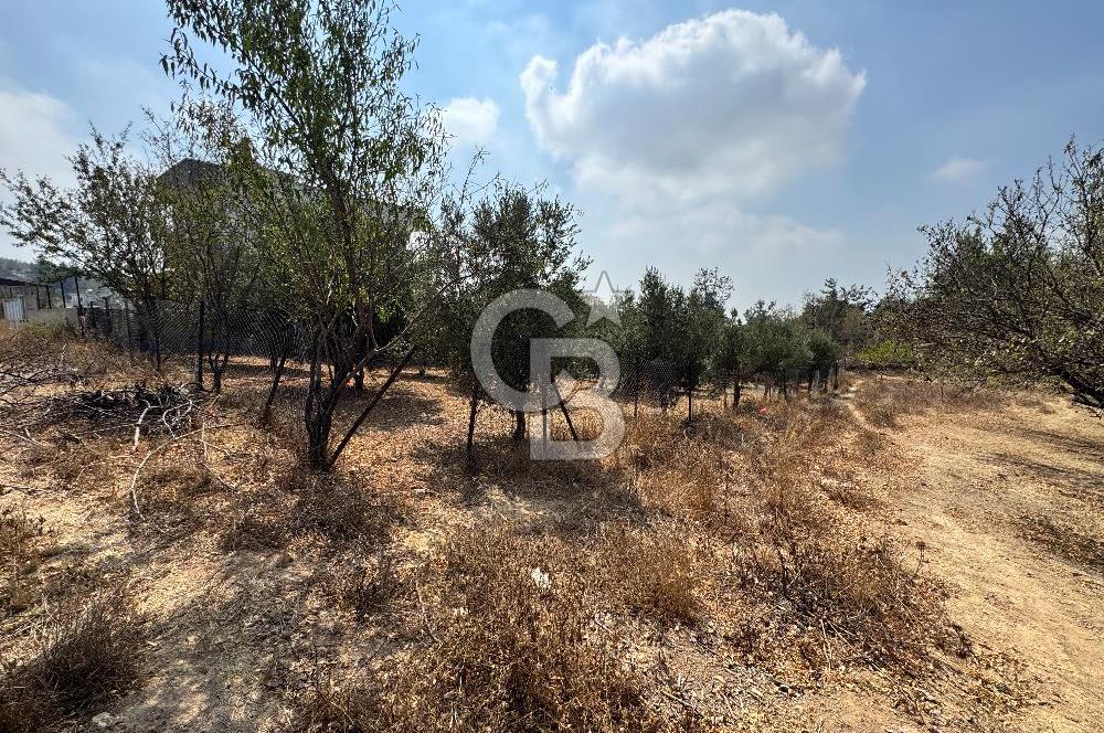 TOROSLAR KAŞLI’DA MANZARALI 540 m² SATILIK KÖŞEBAŞI ARAZİ