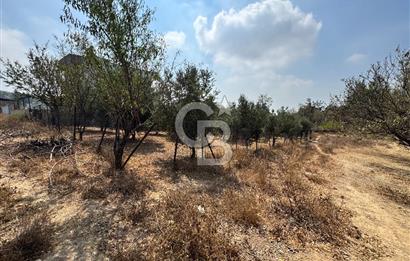 TOROSLAR KAŞLI’DA MANZARALI 540 m² SATILIK KÖŞEBAŞI ARAZİ