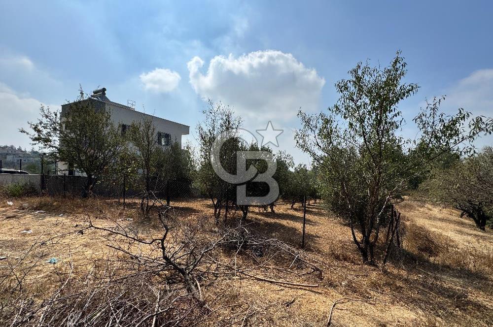 TOROSLAR KAŞLI’DA MANZARALI 540 m² SATILIK KÖŞEBAŞI ARAZİ