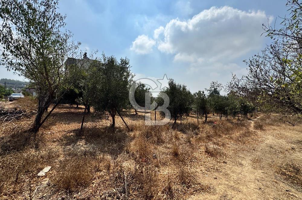 TOROSLAR KAŞLI’DA MANZARALI 540 m² SATILIK KÖŞEBAŞI ARAZİ