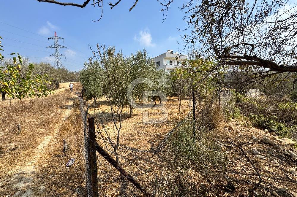 TOROSLAR KAŞLI’DA MANZARALI 540 m² SATILIK KÖŞEBAŞI ARAZİ