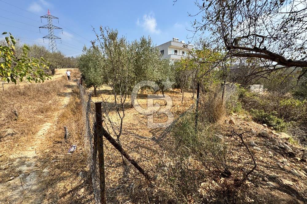 TOROSLAR KAŞLI’DA MANZARALI 540 m² SATILIK KÖŞEBAŞI ARAZİ