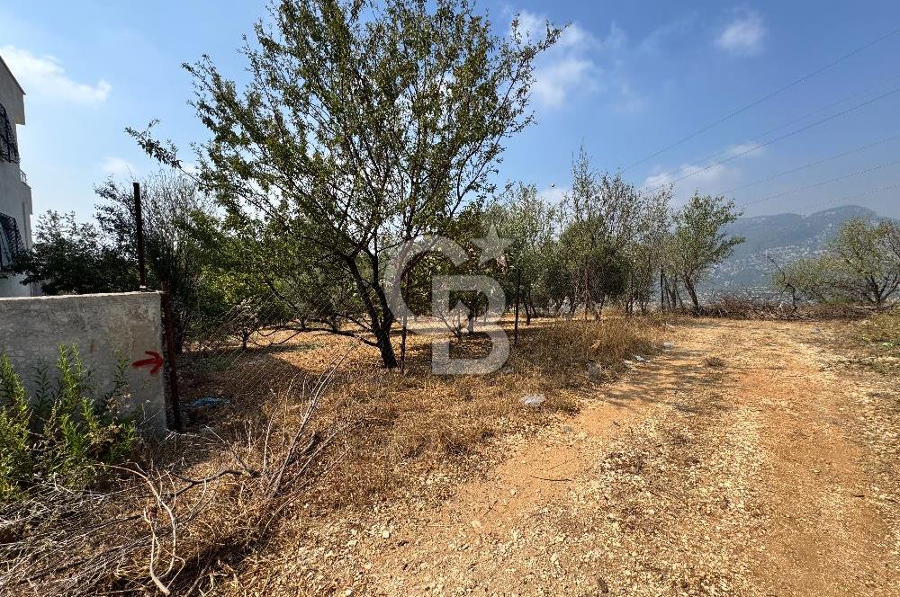 TOROSLAR KAŞLI’DA MANZARALI 540 m² SATILIK KÖŞEBAŞI ARAZİ
