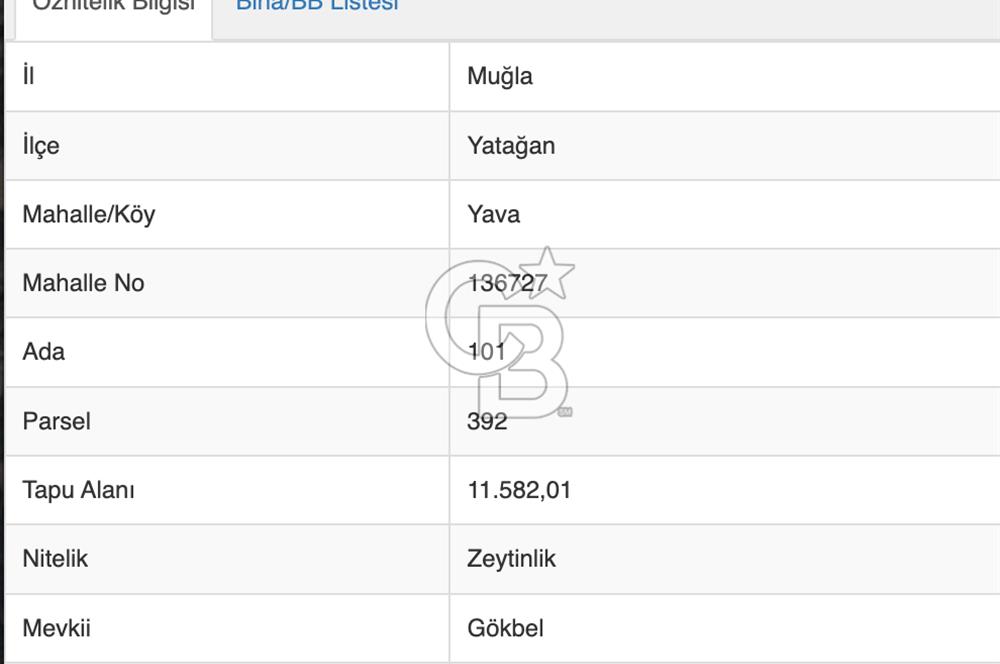 YATAĞAN YAVA KÖYÜNDE 11,5 DÖNÜM ZEYTİNLİK