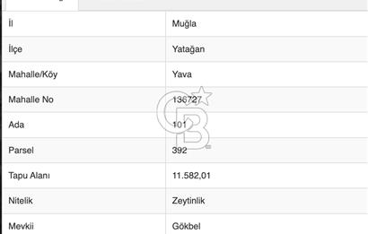 YATAĞAN YAVA KÖYÜNDE 11,5 DÖNÜM ZEYTİNLİK