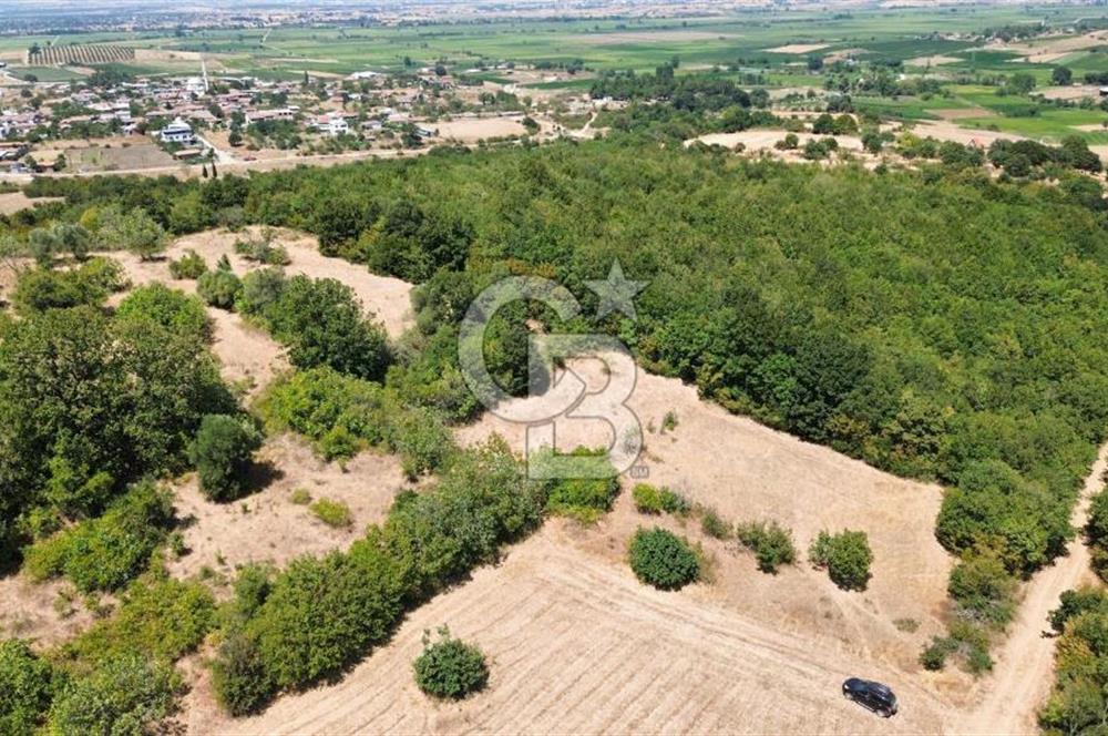 BİGA GEMİCİKIRI SATILIK BAĞ