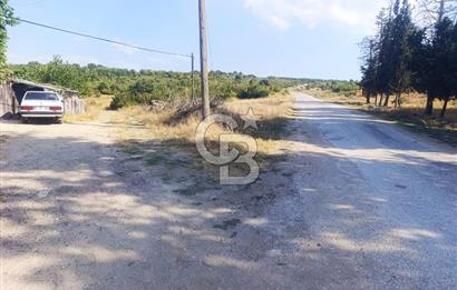BİGA GEMİCİKIRI SATILIK BAĞ