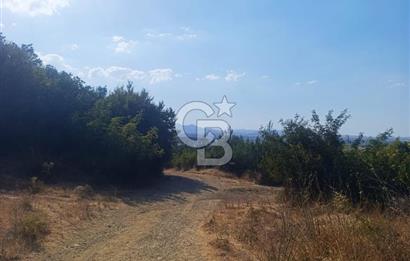 BİGA GEMİCİKIRI SATILIK BAĞ