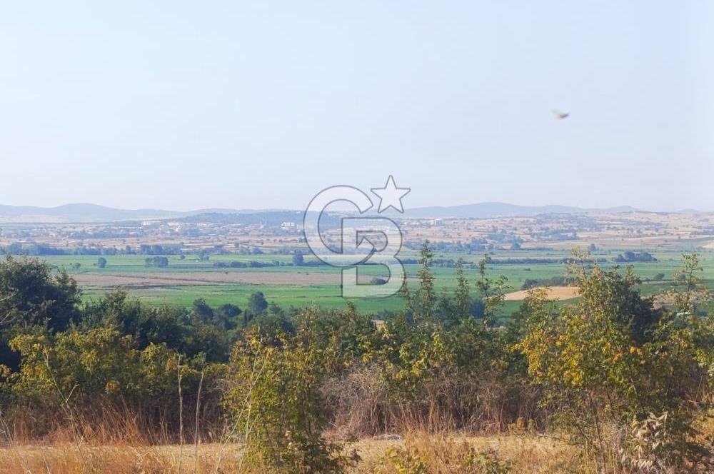 BİGA GEMİCİKIRI SATILIK BAĞ