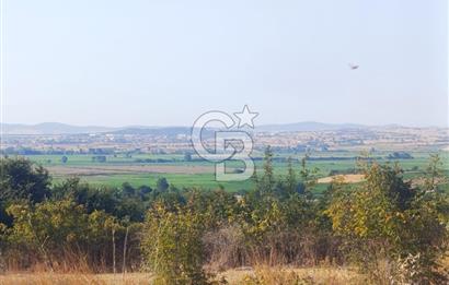 BİGA GEMİCİKIRI SATILIK BAĞ