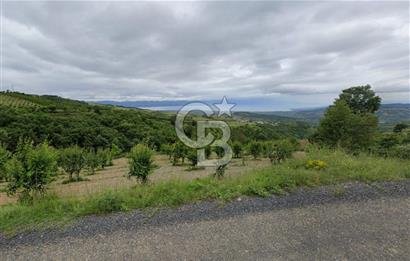 BURSA-İZNİK TACİR DE GÖL VE VADİ MANZARALI YATIRIMLIK ARAZİ