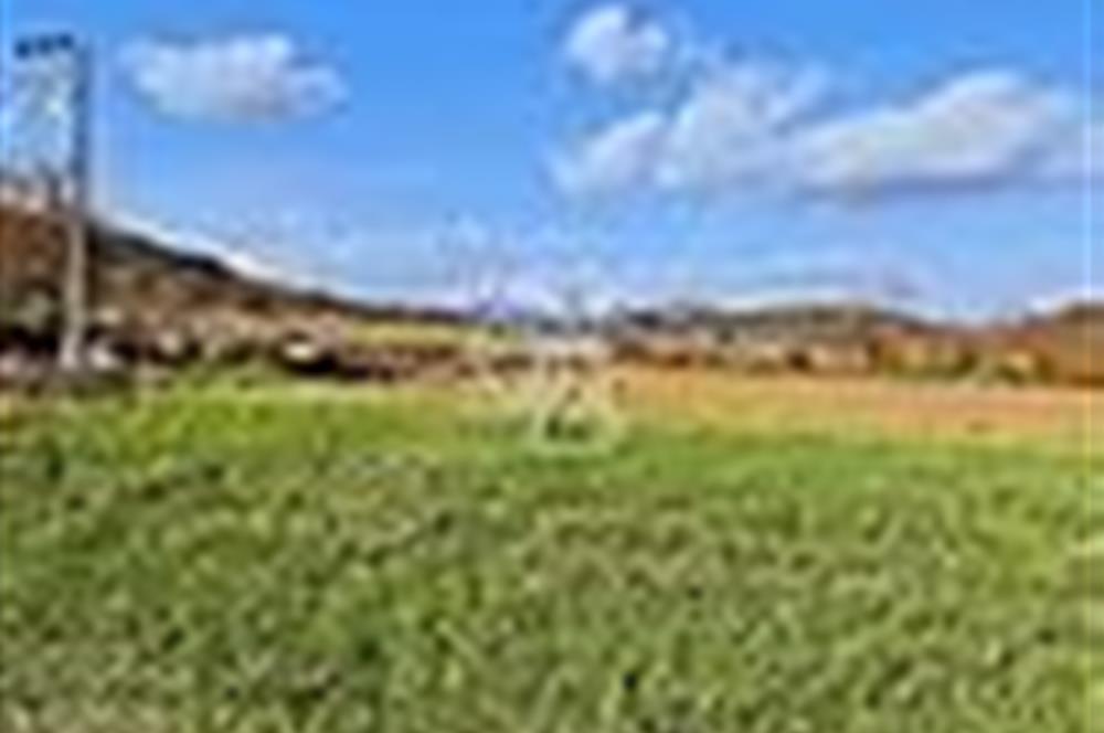 KESTEL GÖLCÜK KÖYÜ ANA YOL ÜZERİ HOBİ BAHÇESİ