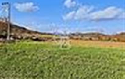 KESTEL GÖLCÜK KÖYÜ ANA YOL ÜZERİ HOBİ BAHÇESİ