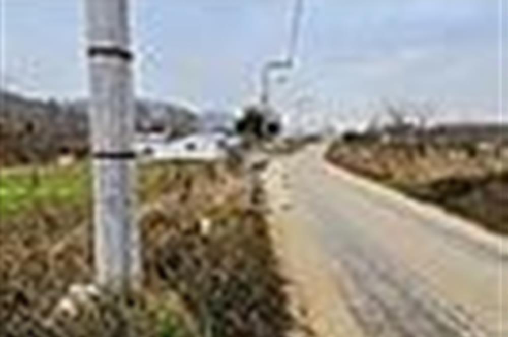KESTEL GÖLCÜK KÖYÜ ANA YOL ÜZERİ HOBİ BAHÇESİ