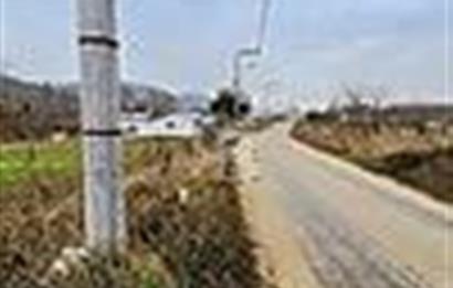KESTEL GÖLCÜK KÖYÜ ANA YOL ÜZERİ HOBİ BAHÇESİ