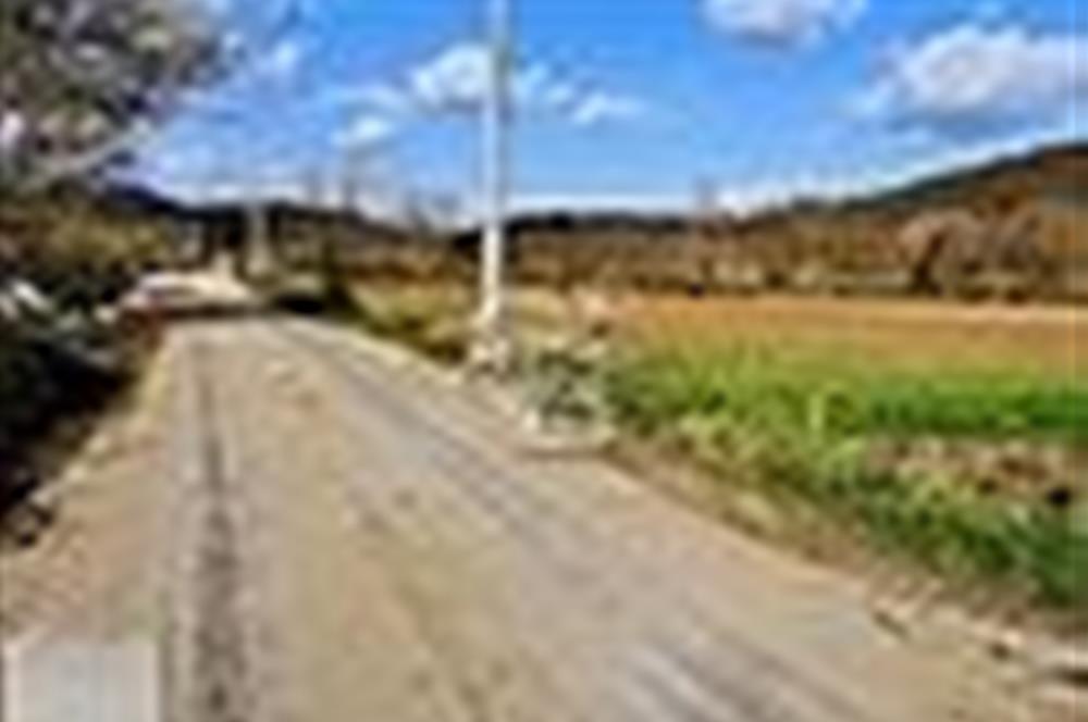 KESTEL GÖLCÜK KÖYÜ ANA YOL ÜZERİ HOBİ BAHÇESİ
