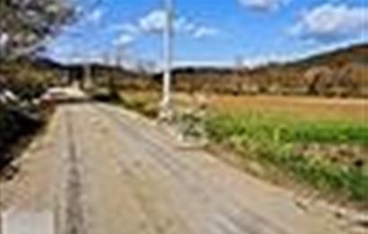 KESTEL GÖLCÜK KÖYÜ ANA YOL ÜZERİ HOBİ BAHÇESİ