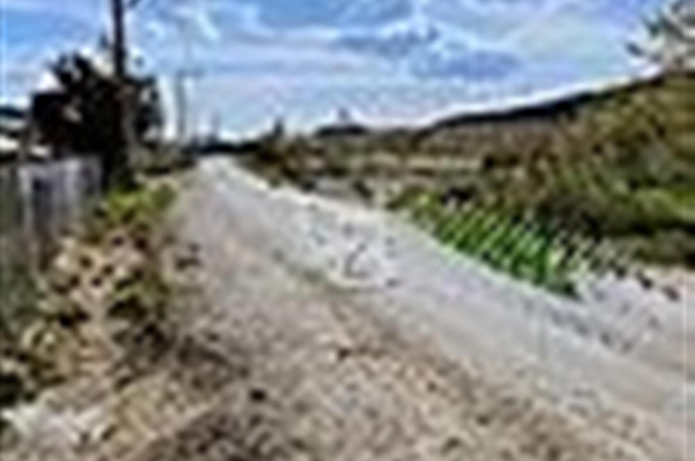 KESTEL GÖLCÜK KÖYÜ ANA YOL ÜZERİ HOBİ BAHÇESİ