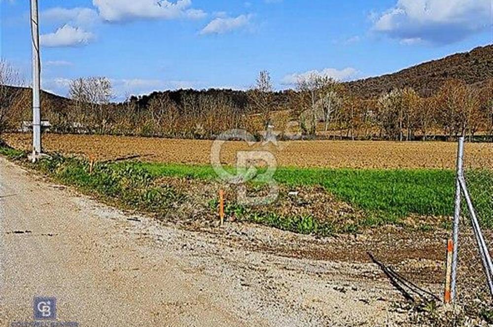 KESTEL GÖLCÜK KÖYÜ ANA YOL ÜZERİ HOBİ BAHÇESİ