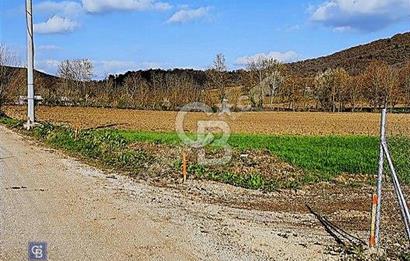 KESTEL GÖLCÜK KÖYÜ ANA YOL ÜZERİ HOBİ BAHÇESİ