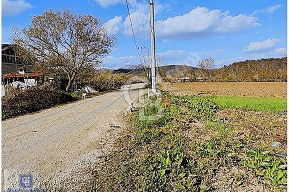KESTEL GÖLCÜK KÖYÜ ANA YOL ÜZERİ HOBİ BAHÇESİ