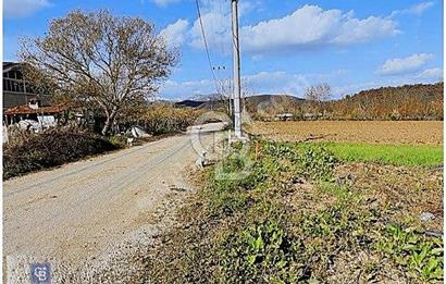 KESTEL GÖLCÜK KÖYÜ ANA YOL ÜZERİ HOBİ BAHÇESİ